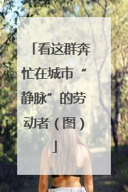 看这群奔忙在城市“静脉”的劳动者（图）
