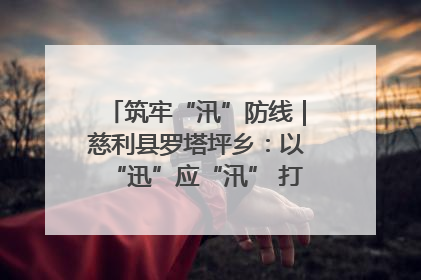 筑牢“汛”防线｜慈利县罗塔坪乡：以“迅”应“汛” 打赢暴雨防御战