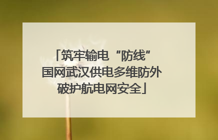 筑牢输电“防线” 国网武汉供电多维防外破护航电网安全