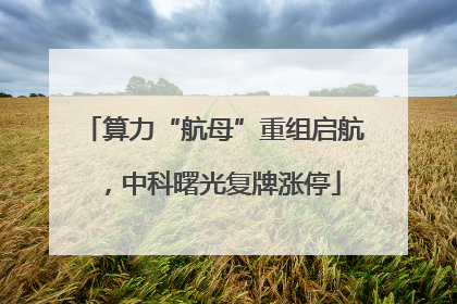 算力“航母”重组启航，中科曙光复牌涨停