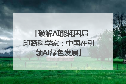 破解AI能耗困局 印裔科学家：中国在引领AI绿色发展