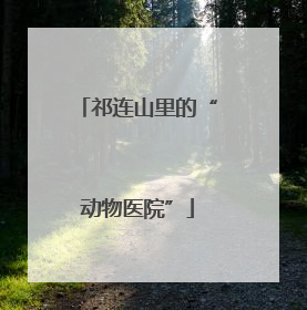 祁连山里的“动物医院”