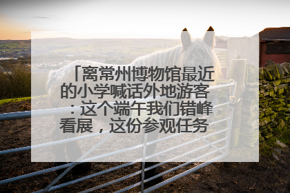 离常州博物馆最近的小学喊话外地游客：这个端午我们错峰看展，这份参观任务单赶快收藏