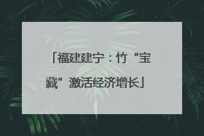 福建建宁：竹“宝藏”激活经济增长