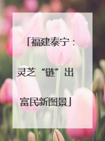 福建泰宁：灵芝“链”出富民新图景