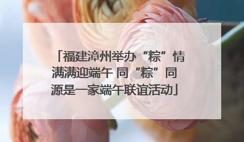 福建漳州举办“粽”情满满迎端午 同“粽”同源是一家端午联谊活动