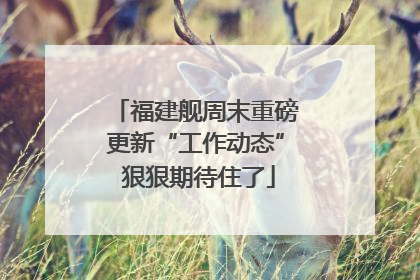 福建舰周末重磅更新“工作动态” 狠狠期待住了