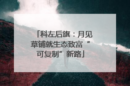 科左后旗：月见草铺就生态致富“可复制”新路