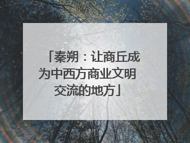 秦朔：让商丘成为中西方商业文明交流的地方