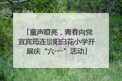 童声嘹亮，青春向党 宜宾筠连景阳白花小学开展庆“六·一”活动