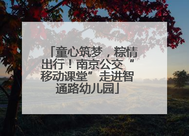童心筑梦，粽情出行！南京公交“移动课堂”走进智通路幼儿园