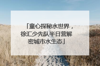 童心探秘水世界，徐汇少先队半日营解密城市水生态