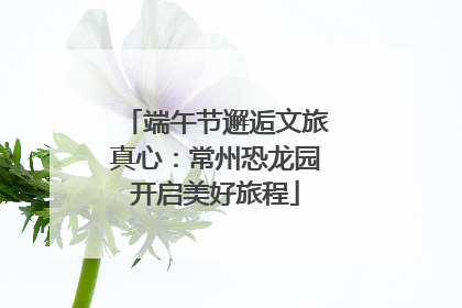 端午节邂逅文旅真心：常州恐龙园开启美好旅程