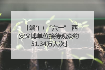 端午+“六一” 西安文博单位接待观众约51.34万人次
