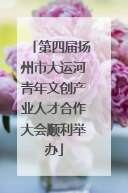 第四届扬州市大运河青年文创产业人才合作大会顺利举办