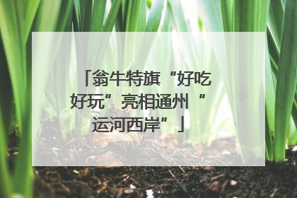 翁牛特旗“好吃好玩”亮相通州“运河西岸”