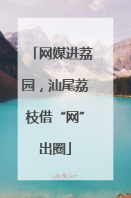 网媒进荔园，汕尾荔枝借“网”出圈