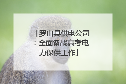 罗山县供电公司：全面备战高考电力保供工作