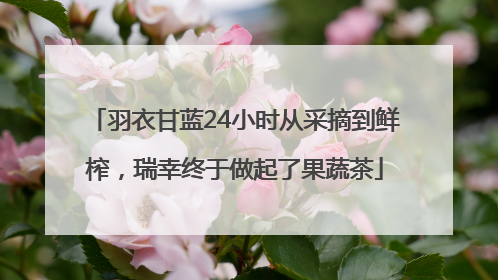 羽衣甘蓝24小时从采摘到鲜榨，瑞幸终于做起了果蔬茶