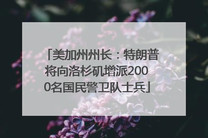 美加州州长：特朗普将向洛杉矶增派2000名国民警卫队士兵