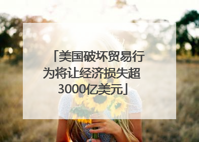 美国破坏贸易行为将让经济损失超3000亿美元