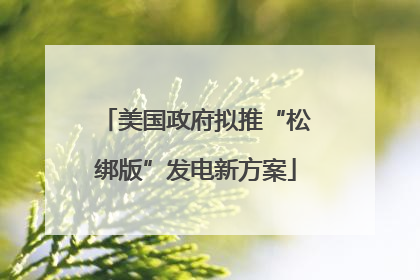 美国政府拟推“松绑版”发电新方案
