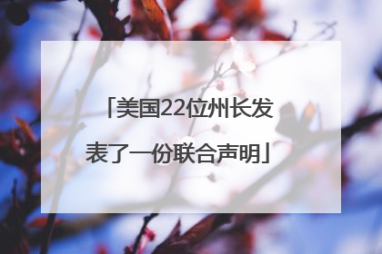 美国22位州长发表了一份联合声明
