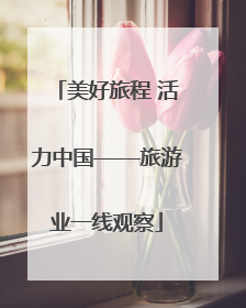 美好旅程 活力中国——旅游业一线观察