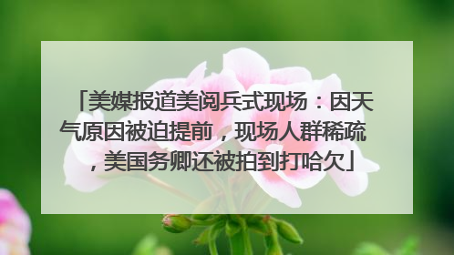 美媒报道美阅兵式现场：因天气原因被迫提前，现场人群稀疏，美国务卿还被拍到打哈欠