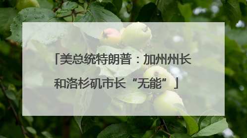 美总统特朗普：加州州长和洛杉矶市长“无能”