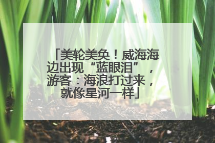 美轮美奂！威海海边出现“蓝眼泪”，游客：海浪打过来，就像星河一样