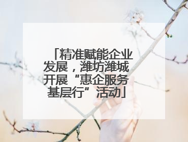 精准赋能企业发展，潍坊潍城开展“惠企服务基层行”活动