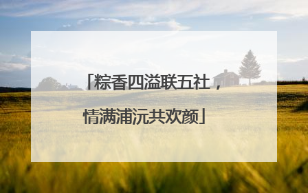 粽香四溢联五社，情满浦沅共欢颜