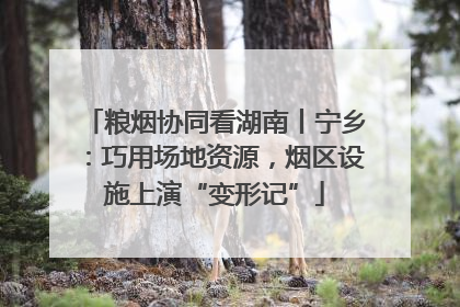 粮烟协同看湖南丨宁乡：巧用场地资源，烟区设施上演“变形记”