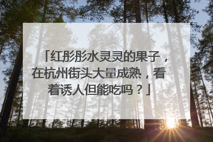 红彤彤水灵灵的果子，在杭州街头大量成熟，看着诱人但能吃吗？