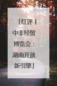 红评丨中非经贸博览会：湖南开放新引擎