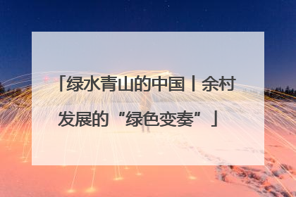 绿水青山的中国丨余村发展的“绿色变奏”