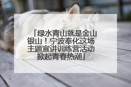 绿水青山就是金山银山！宁波奉化这场主题宣讲训练营活动掀起青春热潮