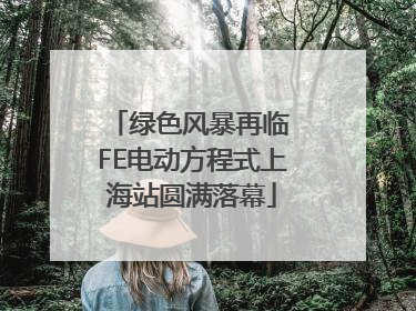 绿色风暴再临 FE电动方程式上海站圆满落幕