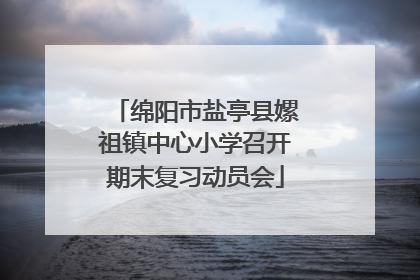 绵阳市盐亭县嫘祖镇中心小学召开期末复习动员会