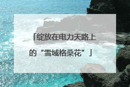绽放在电力天路上的“雪域格桑花”