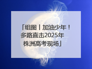 组图丨加油少年！多路直击2025年株洲高考现场