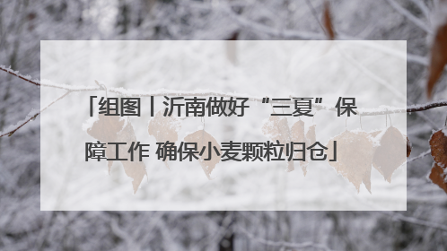 组图丨沂南做好“三夏”保障工作 确保小麦颗粒归仓