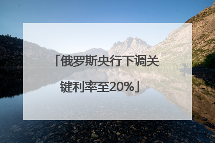 俄罗斯央行下调关键利率至20%