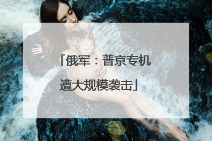 俄军：普京专机遭大规模袭击