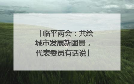 临平两会：共绘城市发展新图景，代表委员有话说