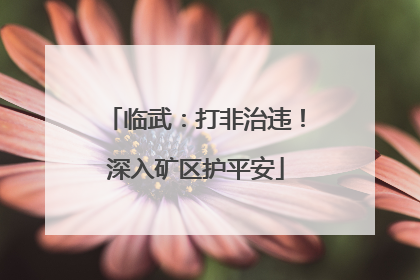 临武：打非治违！深入矿区护平安