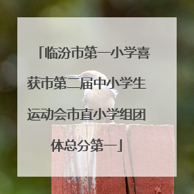 临汾市第一小学喜获市第二届中小学生运动会市直小学组团体总分第一