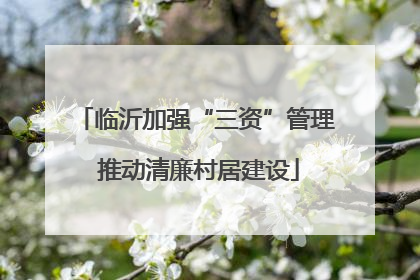 临沂加强“三资”管理 推动清廉村居建设