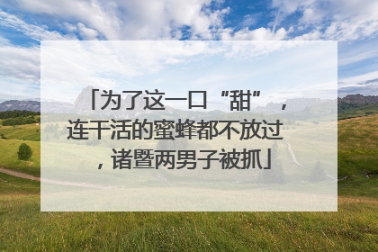 为了这一口“甜”，连干活的蜜蜂都不放过，诸暨两男子被抓